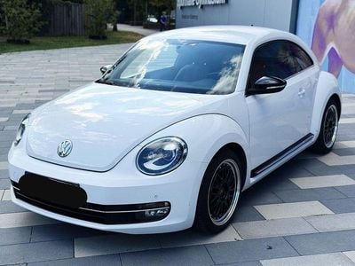 VW Beetle