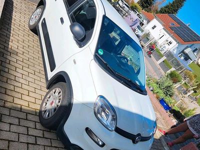 Gebraucht Fiat Panda 69 PS (50 kW) 2023 Weiß Kleinwagen