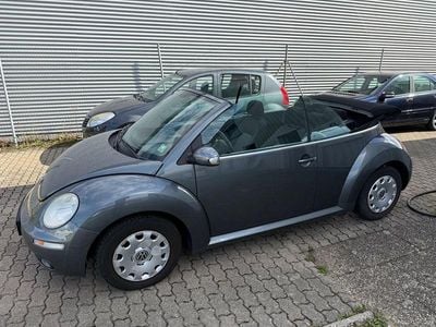 VW Beetle