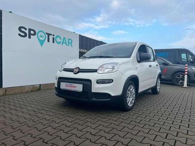 Gebraucht Fiat Panda Cross Cross 69 PS (50 kW) 2025 Colore esterno (weiss) Kleinwagen