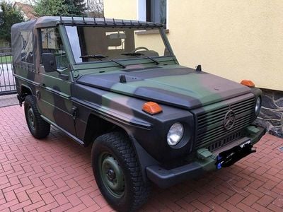 Grün Gebraucht 1993 Mercedes G250 SUV | 65.000 €