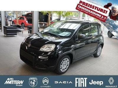 Gebraucht Fiat Panda 69 PS (50 kW) 2024 Colore esterno (cinema schwarz Kleinwagen