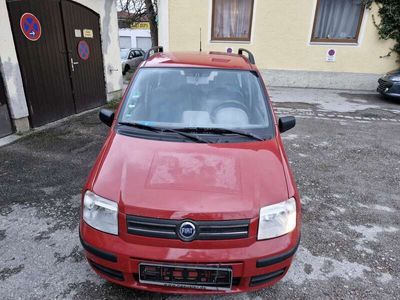 gebraucht Fiat Panda 1.2 Emotion