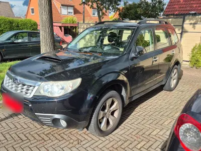 Gebraucht Subaru Forester
