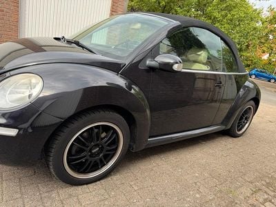 VW Beetle