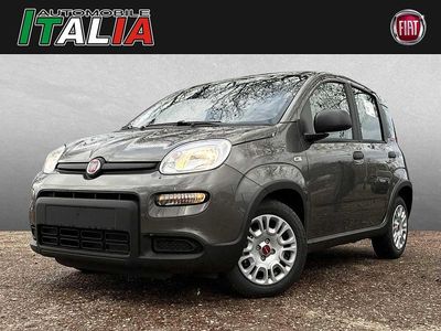 Grau Gebraucht 2023 Fiat Panda Kleinwagen | 12.290 € (Fairer Preis)