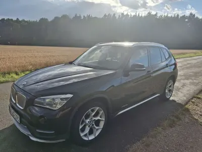 Gebraucht BMW X1 xLine 143 PS (105 kW) 2015 Braun SUV