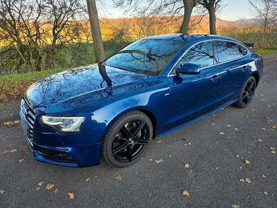 Blau Gebraucht 2015 Audi A5 Sportback Business Kleinwagen | 16.999 € (Fairer Preis)