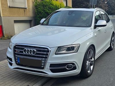 Gebraucht Audi SQ5 313 PS (230 kW) 2015 Weiß SUV
