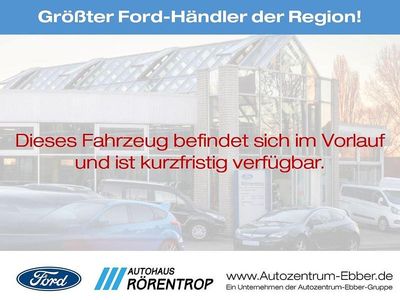 Gebraucht Ford Tourneo Titanium 170 PS (125 kW) 2017 Metallic) (grau Kombi