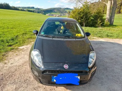 Usata Fiat Punto Evo 105 CV (77 kW) 2017 Nero Utilitaria