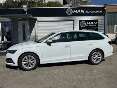 Gebraucht Skoda Octavia Style 150 PS (110 kW) 2023 Bila moon/moon white Kombi