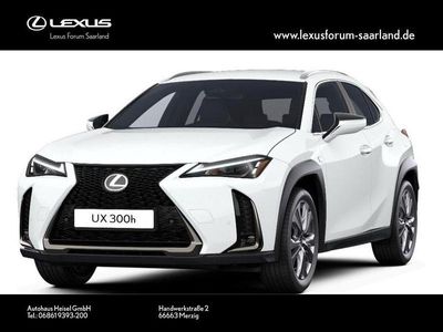 Lexus UX 300h
