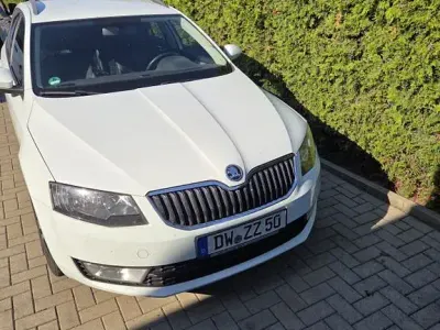 Gebraucht Skoda Octavia Style 150 PS (110 kW) 2015 Weiß Kombi