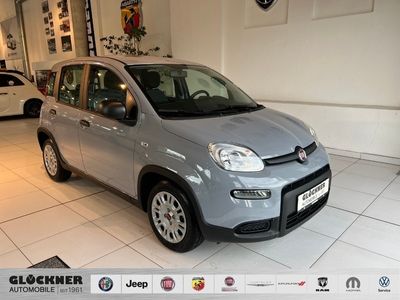 gebraucht Fiat Panda Hybrid 1.0 GSE 51kw (70PS)