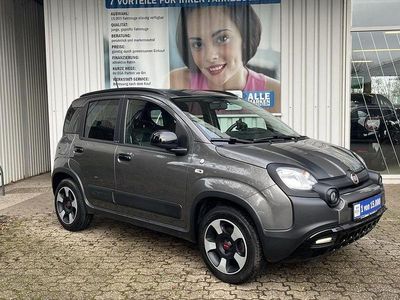 Gebraucht Fiat Panda Cross Cross 69 PS (50 kW) 2019 Grau Kleinwagen