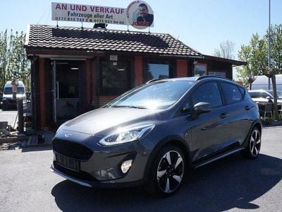 Usata Ford Fiesta Active 95 CV (69 kW) 2020 Grigio Utilitaria