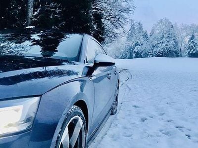 Gebraucht Audi S5 354 PS (260 kW) 2017 Coupé