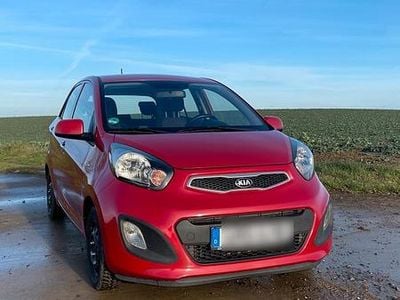 Rot Gebraucht 2013 Kia Picanto Kleinwagen | 5.699 € (Fairer Preis)