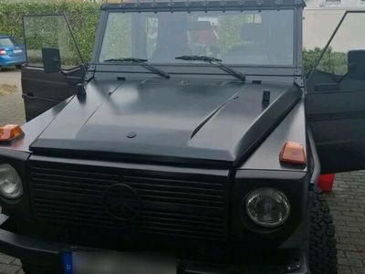 gebraucht Mercedes G250 D Wolf