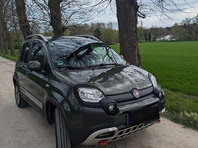 Usado Fiat Panda Cross Cross 84 HP (61 kW) 2019 Verde Citadino