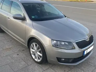 Gebraucht Skoda Octavia Ambition 150 PS (110 kW) 2014 Grau Kombi