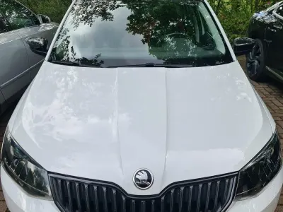Gebraucht Skoda Fabia Monte Carlo 110 PS (80 kW) 2018 Weiß Kleinwagen