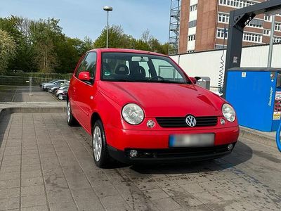Usata VW Lupo 75 CV (55 kW) 2004 Rosso Utilitaria