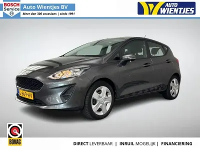 Gebraucht Ford Fiesta Trend 69 PS (50 kW) 2019 Grau Kleinwagen