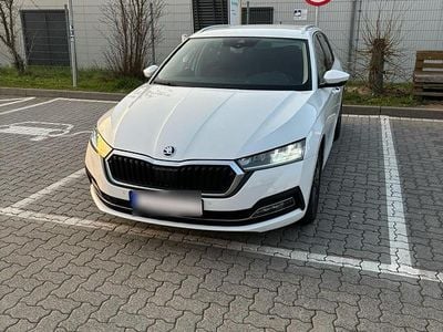 Gebraucht Skoda Octavia 150 PS (110 kW) 2022 Weiß Kombi