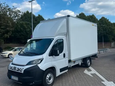 Gebraucht Fiat Ducato 140 PS (102 kW) 2025 Weiß Van