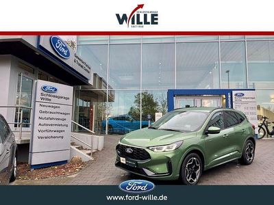 Gebraucht Ford Kuga ST-Line 190 PS (139 kW) 2024 Gruen SUV
