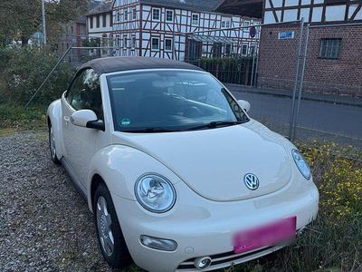 VW Beetle