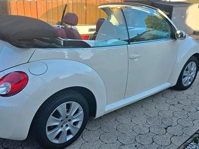 VW Beetle