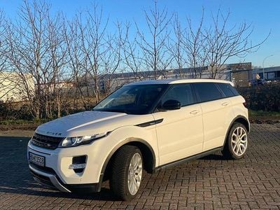 Weiß Gebraucht 2014 Land Rover Range Rover evoque Dynamic SUV | 16.499 € (Etwas zu teuer)