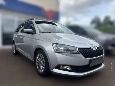 Gebraucht Skoda Fabia Ambition 95 PS (69 kW) 2022 Grau metallic Kleinwagen