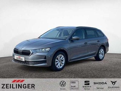 Usata Skoda Octavia Selection 150 CV (110 kW) 2025 Grigio Station wagon