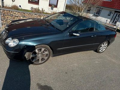 Gebraucht Mercedes CLK500 306 PS (225 kW) 2003 Blau Cabrio