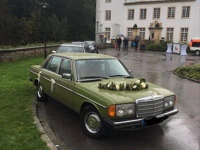 Grün Gebraucht 1979 Mercedes 200 Limousine | 9.500 €