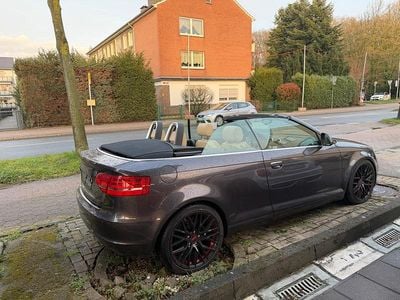 Gebraucht Audi A3 Cabriolet 160 PS (117 kW) 2008 Violet Cabrio