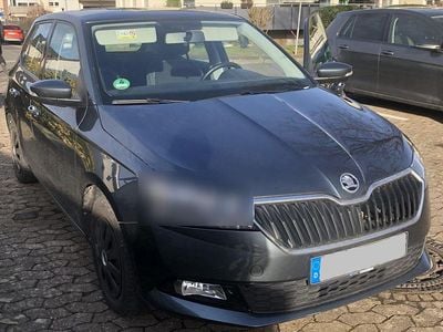 Grau Gebraucht 2020 Skoda Fabia Ambition Kleinwagen | 12.500 € (Guter Preis)