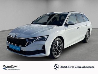 Gebraucht Skoda Octavia Selection 150 PS (110 kW) 2025 Weiss Kombi