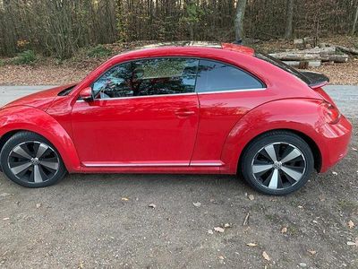 VW Beetle