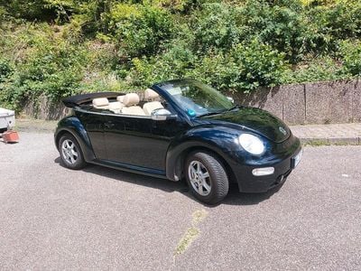 VW Beetle