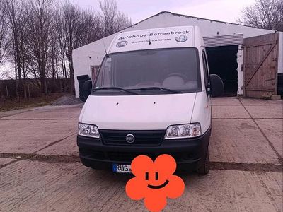 Gebraucht Fiat Ducato 110 PS (80 kW) 2003 Weiß Van