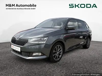 Gebraucht Skoda Fabia Soleil 110 PS (80 kW) 2019 Grau Kleinwagen
