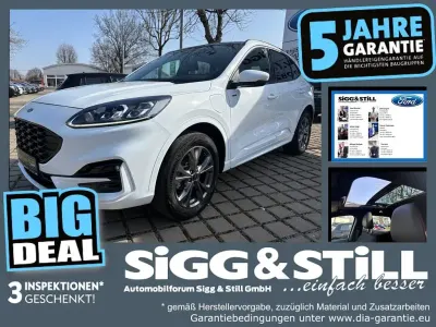 Gebraucht Ford Kuga ST-Line X 224 PS (164 kW) 2023 Frostweiß SUV