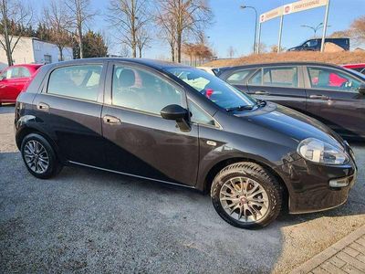 Gebraucht Fiat Punto Easy 69 PS (50 kW) 2018 Tenore schwarz Kleinwagen