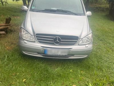 Mercedes Viano