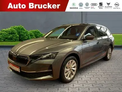 Gebraucht Skoda Octavia Selection 150 PS (110 kW) 2025 Graphitegrau metallic Kombi